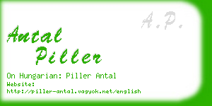 antal piller business card